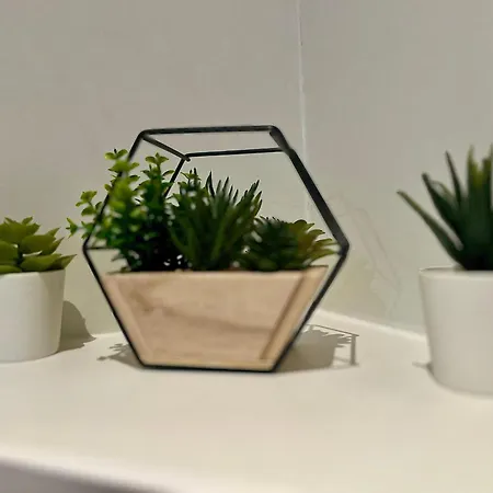 A Pied ! Gare & Vieux - 367 *